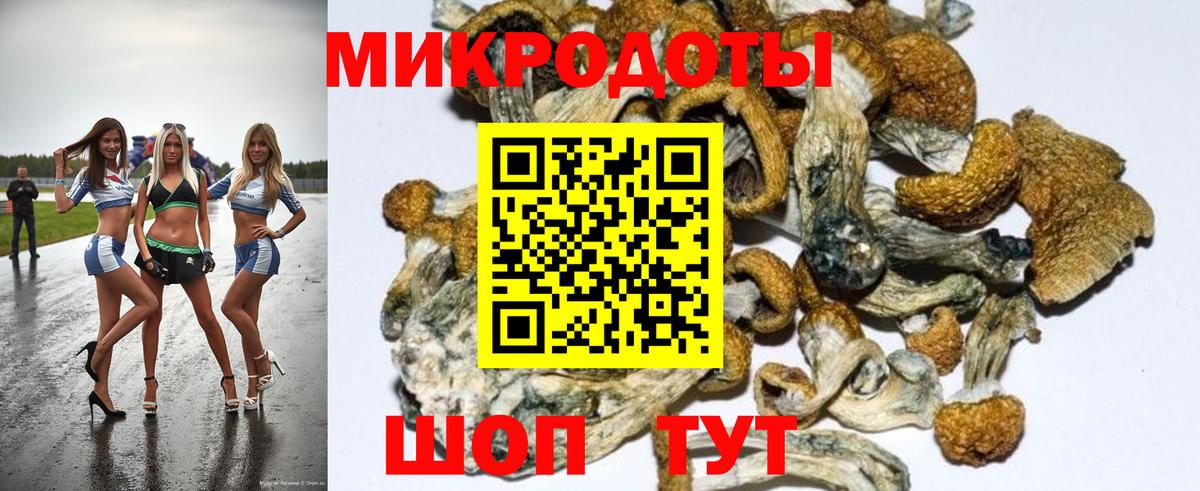 Нефтекумск  Галлюциногенные грибы прущие грибы  купить наркотик  Вход с VPN  Псилоцибиновые грибы Psilocybe 